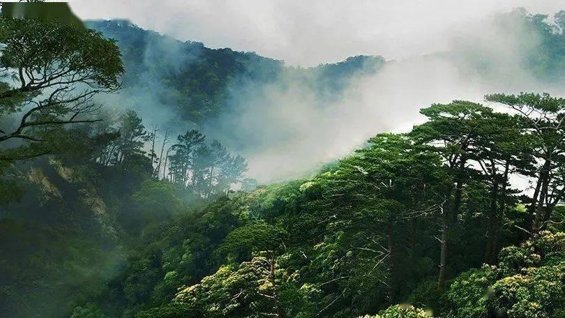 逃离陈旧房2
